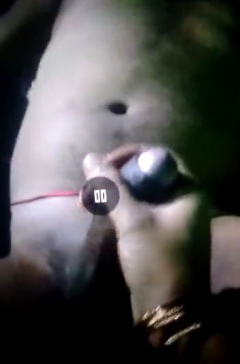 My desi indian wife sex messege big cock 4 - N