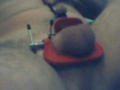 homework for my tiny cock and balls - N