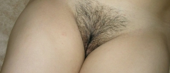Hairy pussy - N