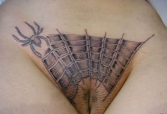 Pussy Decoration - N
