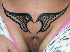 Pussy Decoration - N
