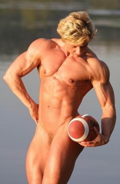 Muscules Mussels - N