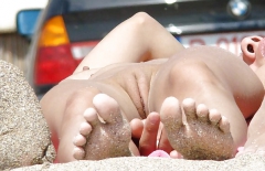 Sunny Pussy III - N