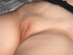 Mari nude album 1 - N