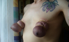 Titties Alert - N
