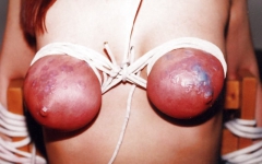 Rud's Titties Alert - N
