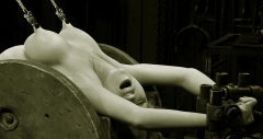 Rud's Titties Alert - N