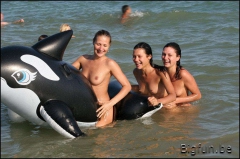 Sea Babe 2 - N