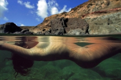 Sea Babe4 - N