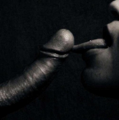 Art in Grey 1 - N