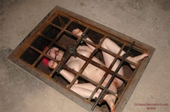 Rud's Caged Goddess 3 - N
