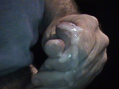 MY COCK AND CUM - N