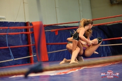 The struggle for domination - N