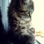 OLEG2974`s avatar