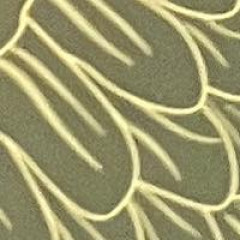 GenXRated`s avatar