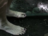 BAREFOOT TRIP