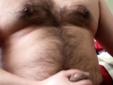 Chubby daddy bear jacking on cam