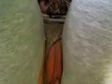 Hummm, Amateur Webcam Show
