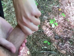 amateur-milf-car-outdoor-handjob